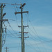 Delaware Electric Cooperative: FENWICK ISLAND