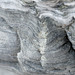 DSCF7690