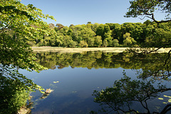Swan Pond At Culzean Castle