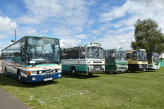 Stonham Barns 'The Big Bus Show' - 13 Aug 2023 (P1150988)