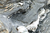 DSCF7691