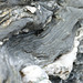 DSCF7691