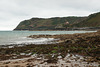 Seagulls At Bonne Nuit Bay