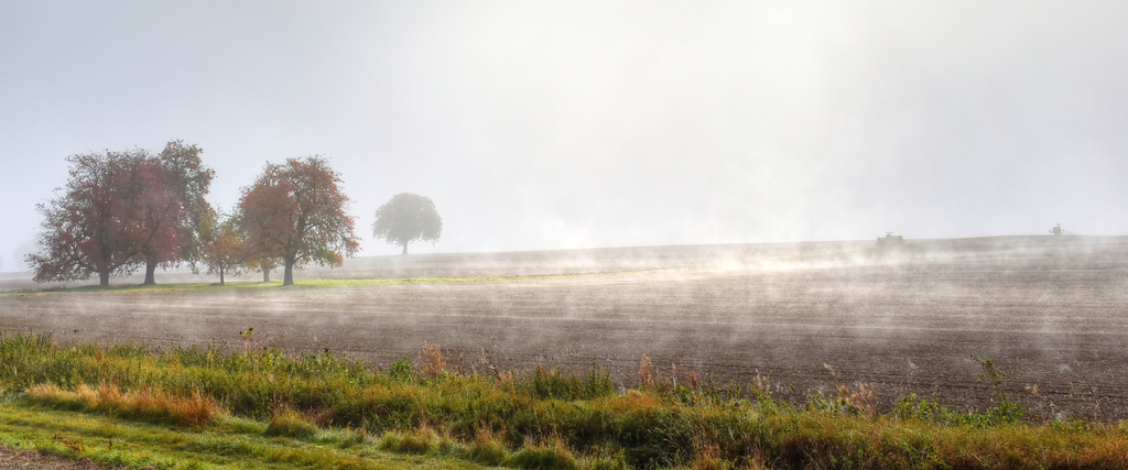 ...Bodennebel