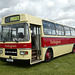 Stonham Barns 'The Big Bus Show' - 13 Aug 2023 (P1150998)