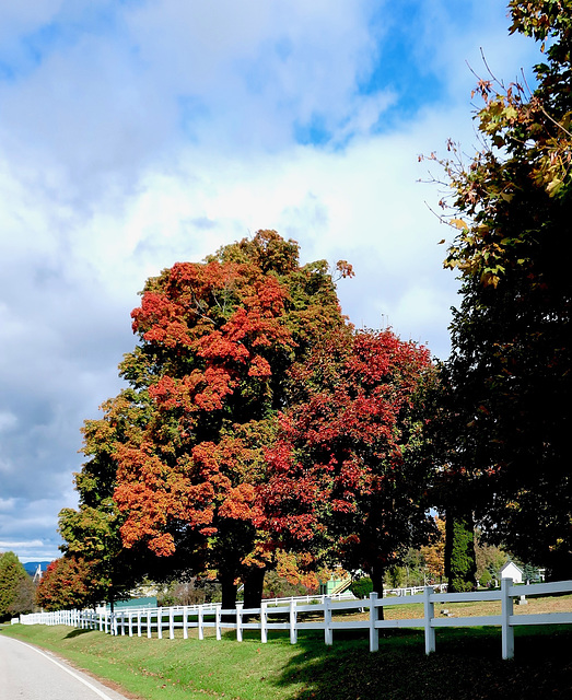 Weybridge Fence, Vermont