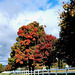 Weybridge Fence, Vermont