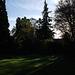Fulbourn garden 2012-11-23