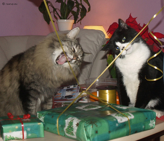 Milly and Snow White offering their help (2008).