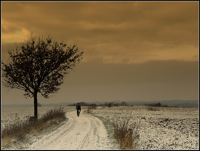 The Lonely biker