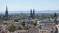 Speyer - Blick über Speyer zum Pfälzerwald