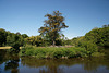Swan Pond At Culzean Castle