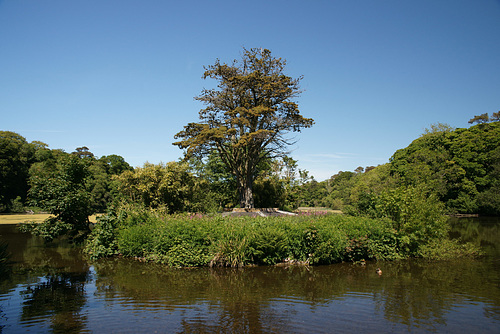 Swan Pond At Culzean Castle