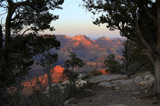 Grand Canyon Evening