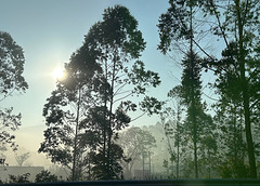 When the sun rises.