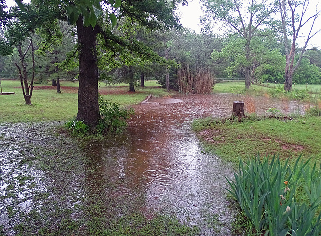The Pond I normally MOW 9th May 2015 ~ Oklahoma drowning