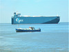 Autotransporter AUTOSUN