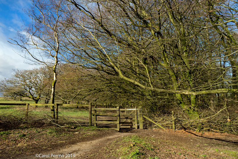 Lydeard Hill  (PiP)  HFF!