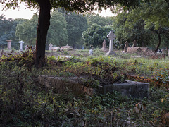 graves - Delhi