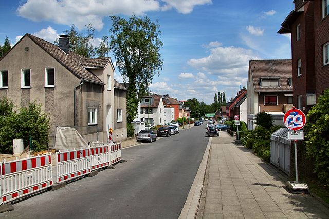 Weidenstraße (Essen-Gerschede) / 9.06.2019