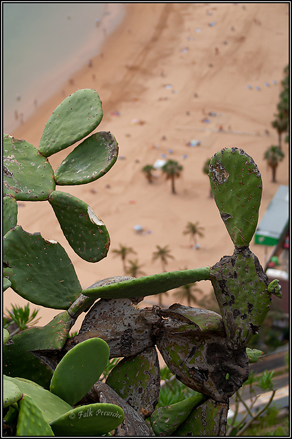 Playa de Las Teresitas