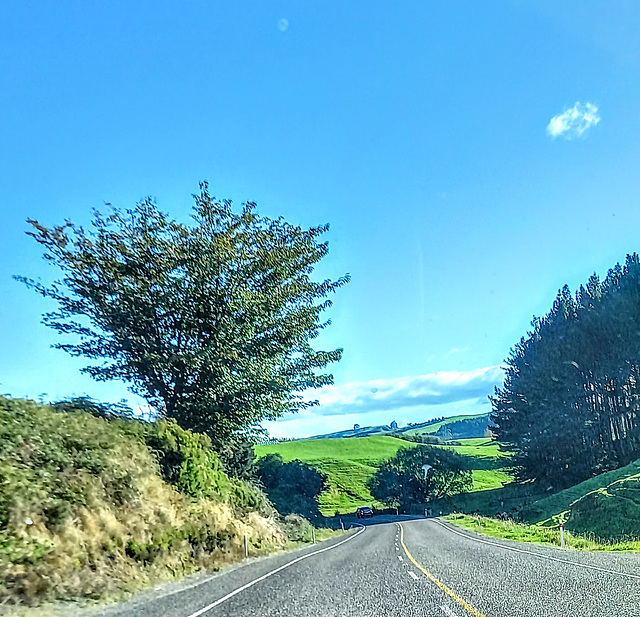 West of Rotorua