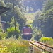 VÖ0000323