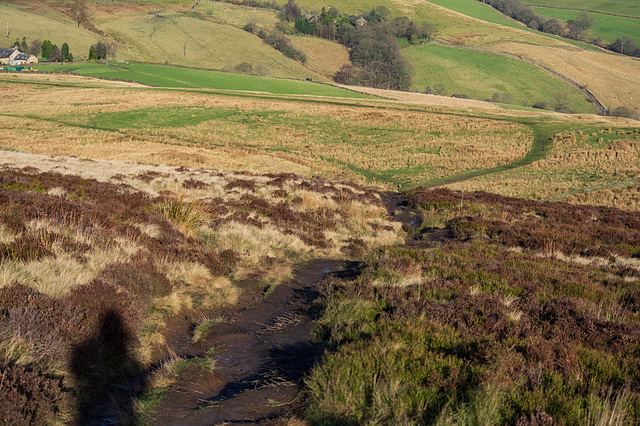 The path near the top of Lantern Pike The path near the top of Lantern Pike