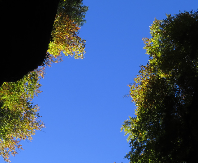 Bright green and yellow over the steep rocks!