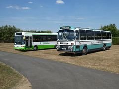 Stonham Barns 'The Big Bus Show' - 14 Aug 2022 (P1130014)