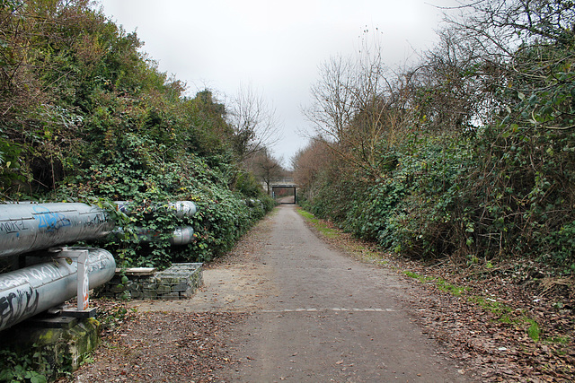 Ehemalige Zechenbahntrasse (Bochum-Gerthe) / 10.12.2016