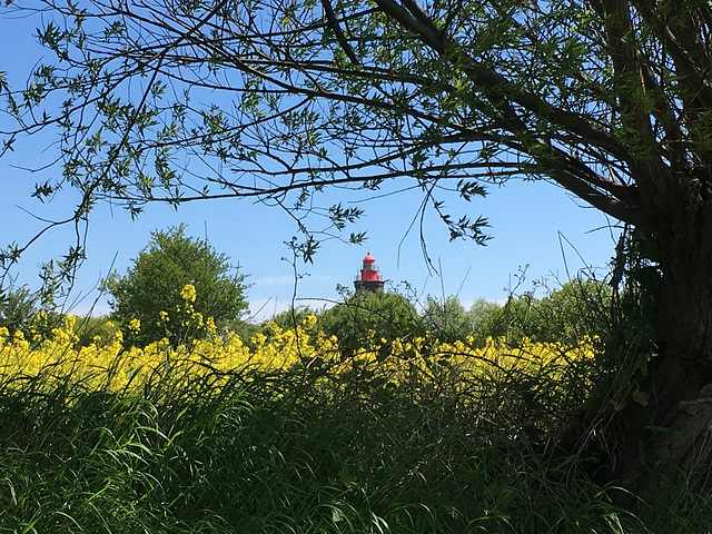 Versteckter Leuchtturm!