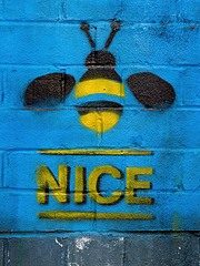Be(e) Nice..!!