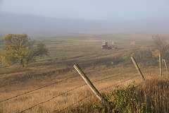 valley bottom land in fog