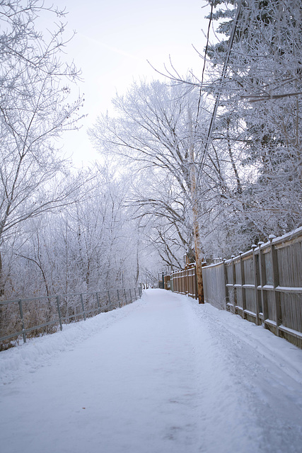 frosted walking path