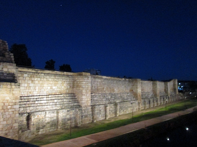 Alcazaba (9th century).