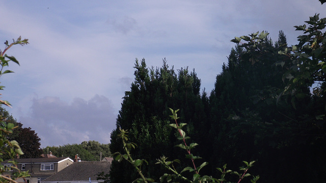 Looking towards the middle of the garden