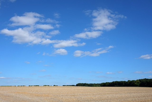 La campagne à Lémeré