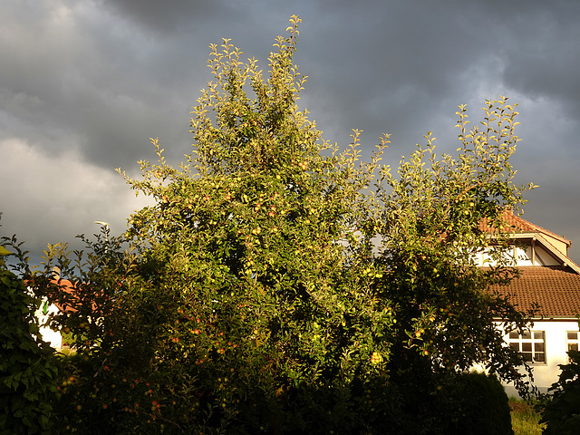 Donnerwetter im Anzug