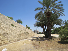 Murs de Nicosie, près de la mosquée Bayraktar