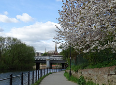 Barrier, Cherry tree, Bridge and Church