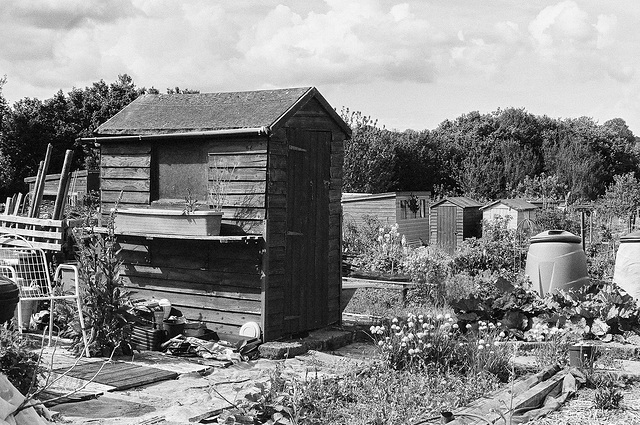 Little Shed