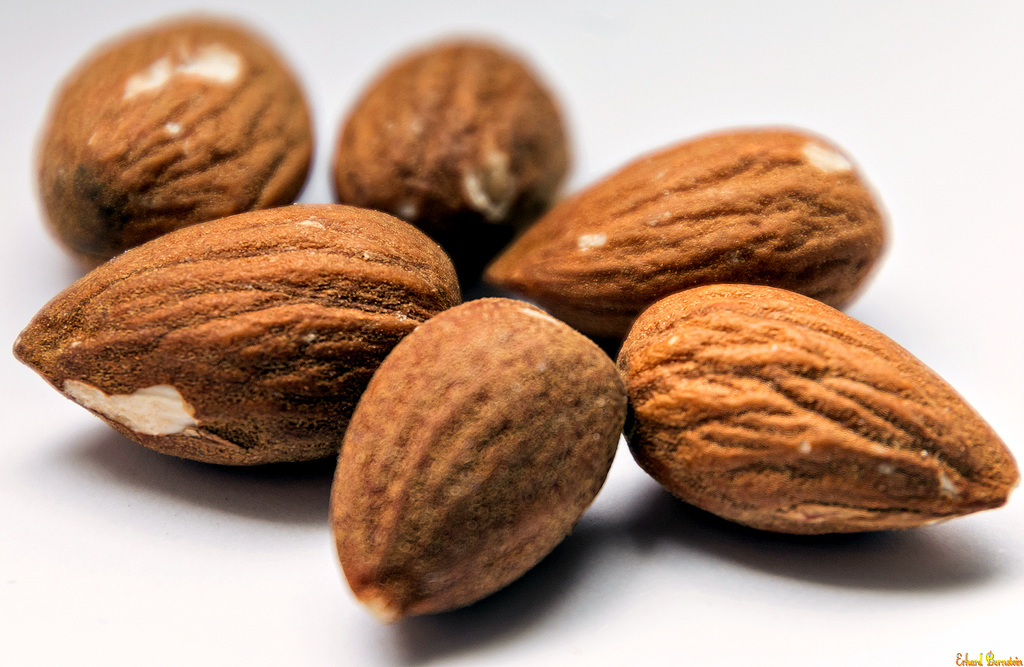 Mandeln / Almonds /Amandes (PiP)