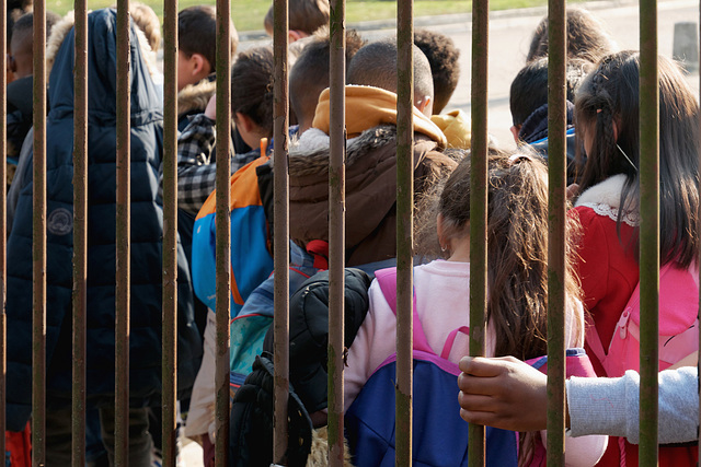 Vous ne craignez rien, je les ai mis en cage !