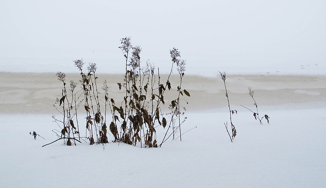 #23 - Wierd Folkersma - winter landscape - 26̊ 2points