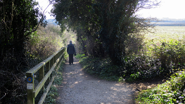 Cliff Walk