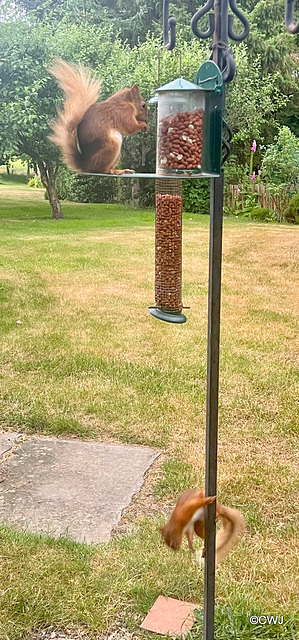 Queuing for breakfast