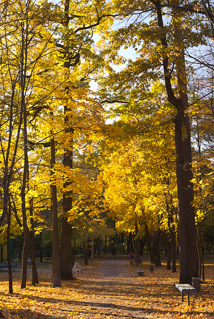 In Puschtscha-Wodyzja im Herbst