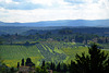 Tuscany 2015 San Gimignano 9 XPro1