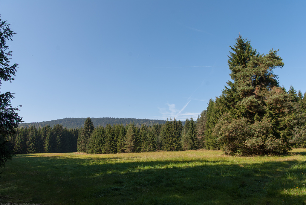 Röslaquelle